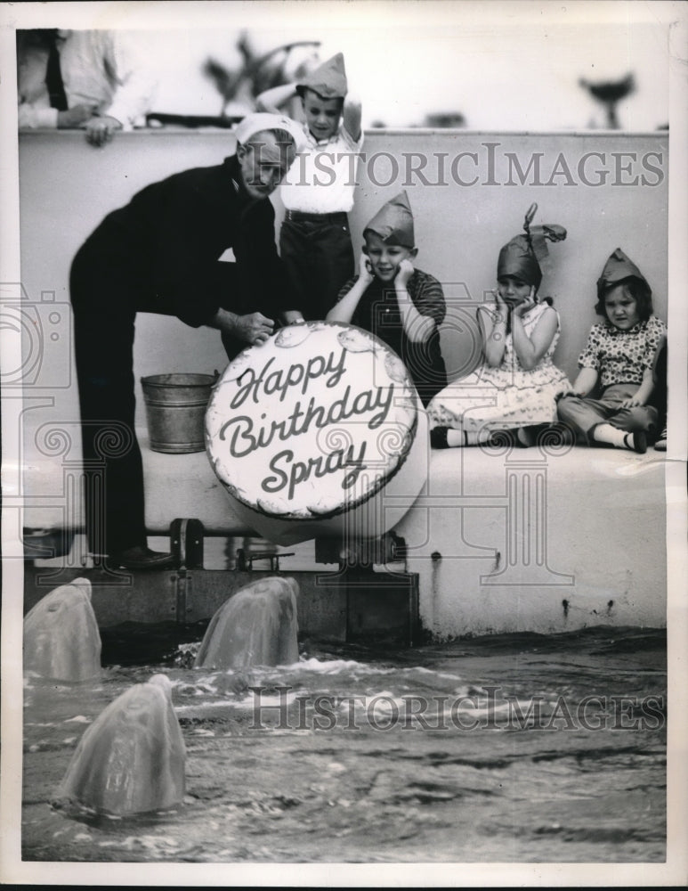 Load image into Gallery viewer, 1957 Press Photo Marineland feeding attendant Mitch Lightsey
