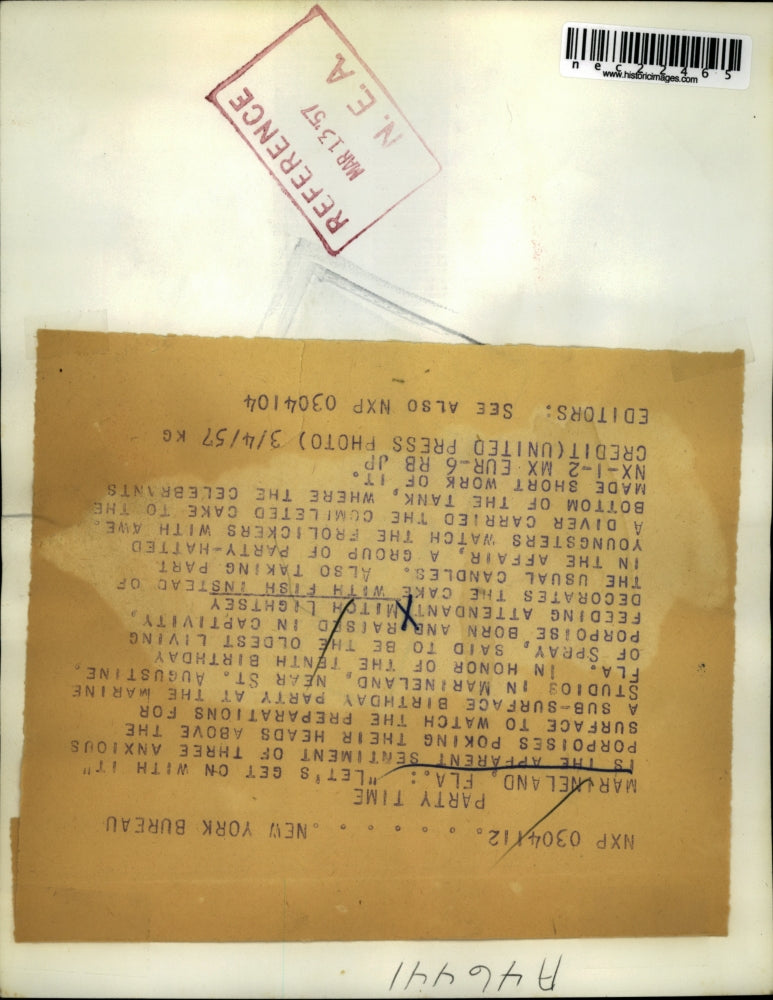 1957 Press Photo Marineland feeding attendant Mitch Lightsey