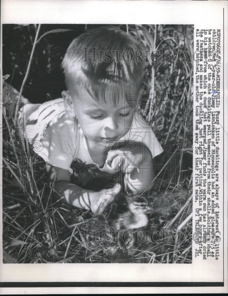 1959 Press Photo 3 year old Jimmy Lienlokken Minneapolis watched cute ducks
