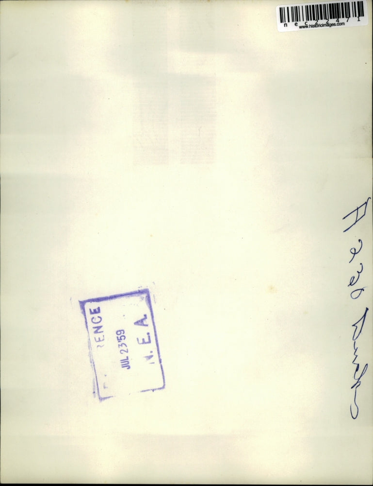 1959 Press Photo 3 year old Jimmy Lienlokken Minneapolis watched cute ducks