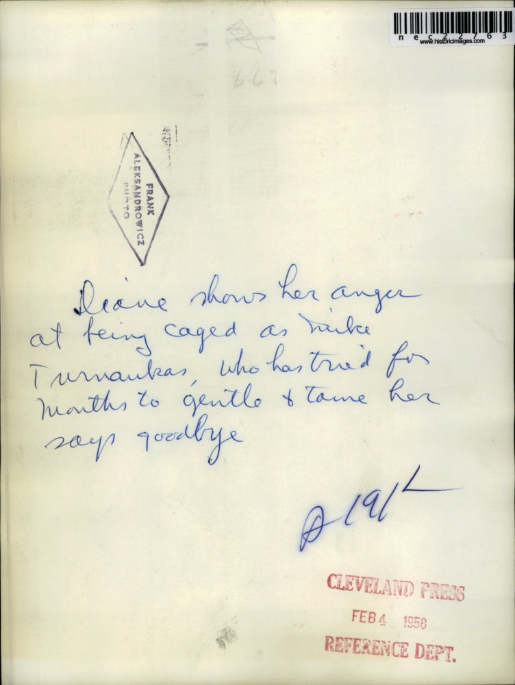 1958 Press Photo Diane, Caged Cat Snarls at Trainer