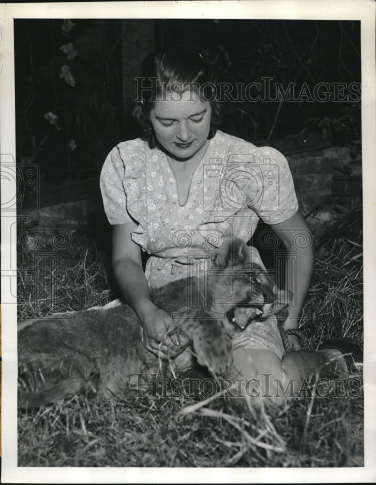 1941 Press Photo Felis Leo 4month old lion cub, shown with Mrs W.D Weaver- Historic Images