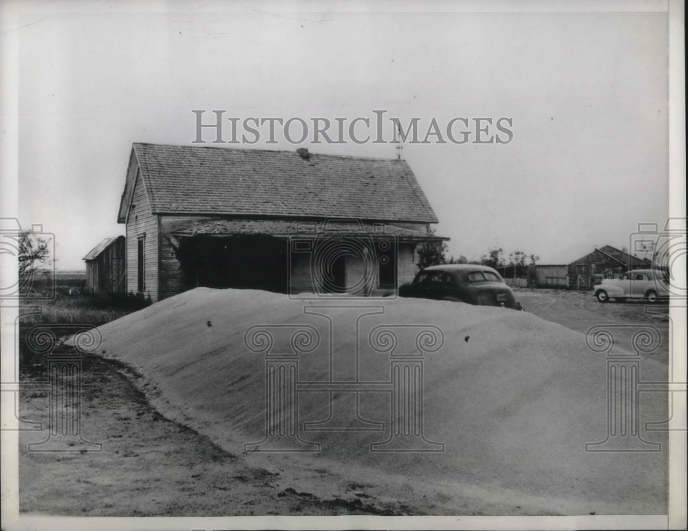 1949 Press Photo Texas Farmers With Shortage Space Shortage