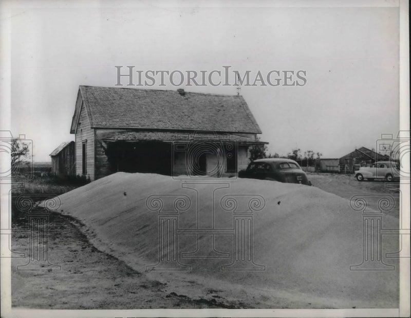 Load image into Gallery viewer, 1949 Press Photo Texas Farmers With Shortage Space Shortage
