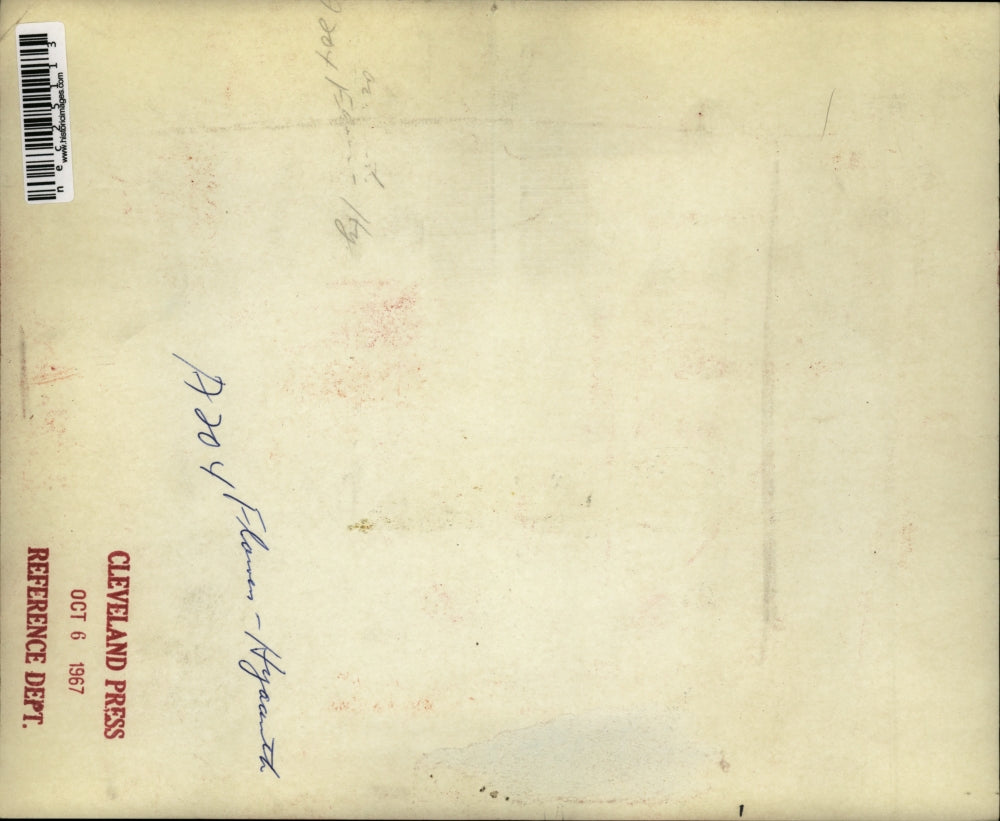 1967 Press Photo Blooming Hyacinths