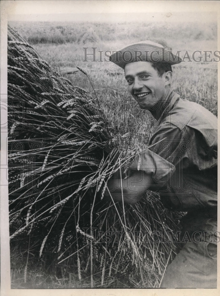 1943 Press Photo Joe Muyernik sent by war department to harvest wheat