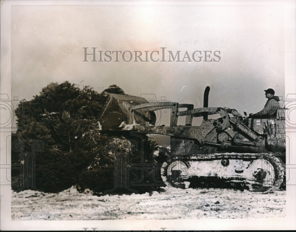 1964 Press Photo Lakewood Man Robert Chrisiner Bulldozes Christmas Trees In Snow