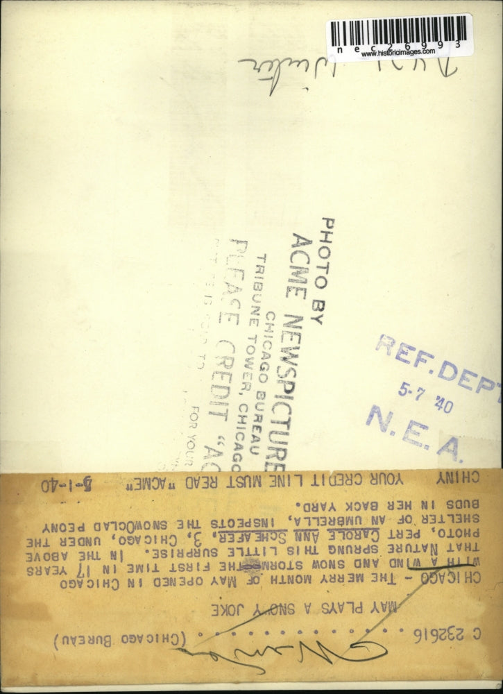 1940 Press Photo Wind and snow storm in May. Carole Ann Schaefer