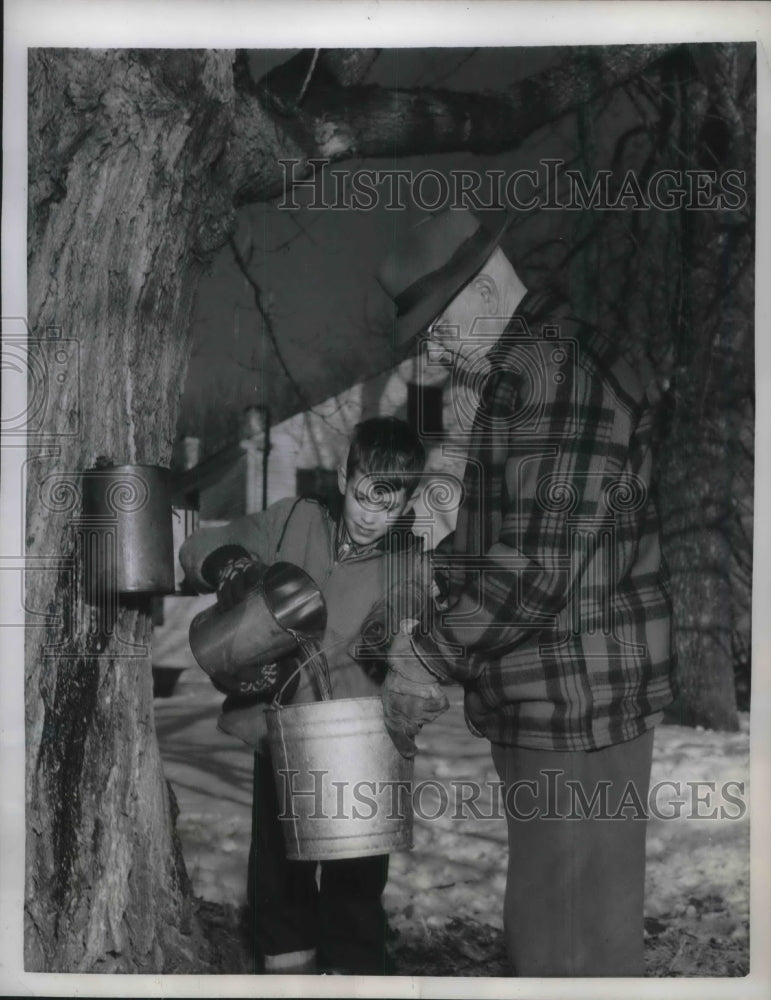 Load image into Gallery viewer, 1958 Press Photo Grandpa teaches grandson how to SAP a maple tree

