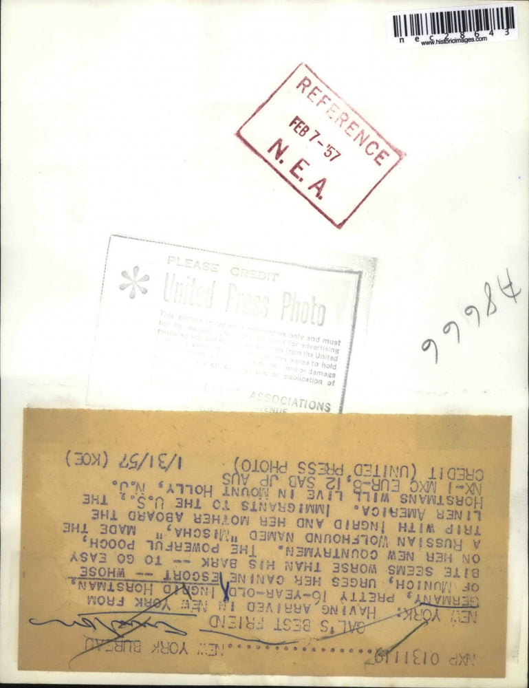 1957 Press Photo Gal's best friend