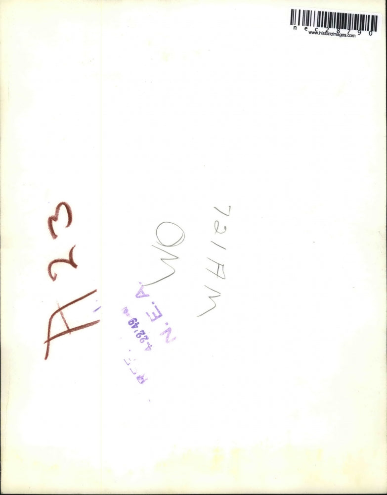 1949 Press Photo Police Officer Checks Injuries Of Dog Involved In Hit And Run