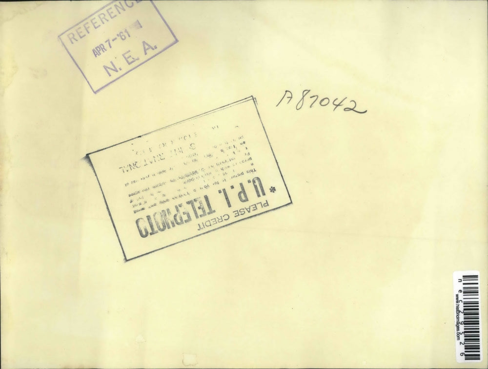 1961 Press Photo John Tedesce, Emory Pickoring, witnesses in trial