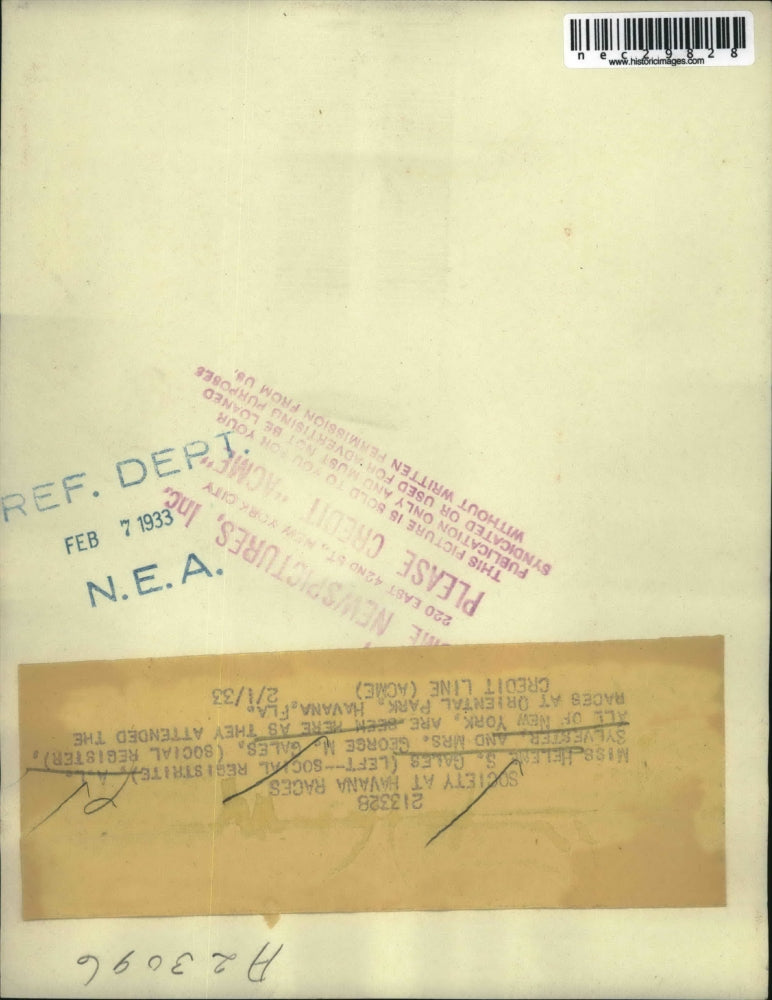 1933 Press Photo Helen Gales, AI Sylvester & Mrs George Gales at the Races