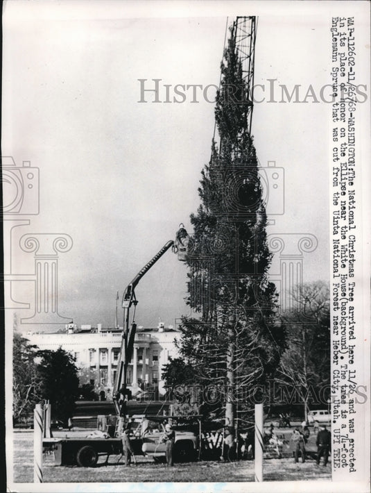 1968 Press Photo White House Christmas Tree