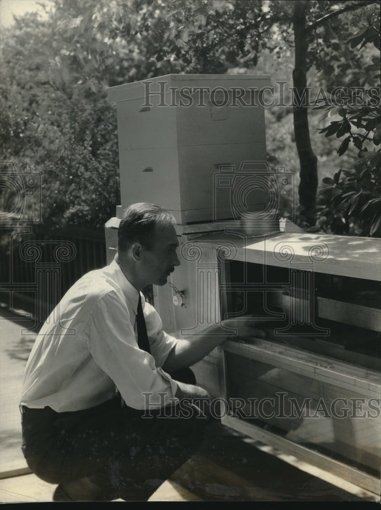 1931 Press Photo Beekeeper Looks At Scale Designed To Indicate Field Activity