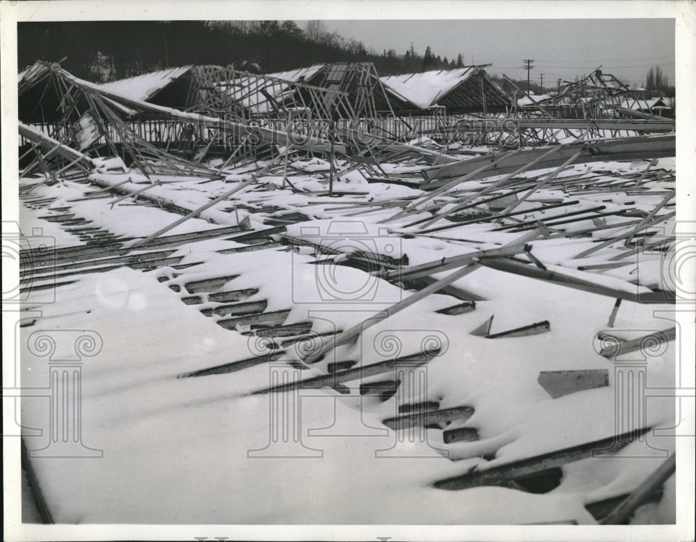 1943 Press Photo Greenhouse turned White after power failure preventing heat