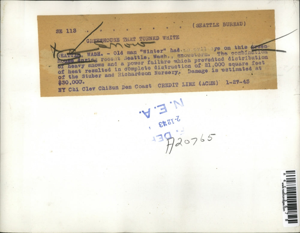 1943 Press Photo Greenhouse turned White after power failure preventing heat