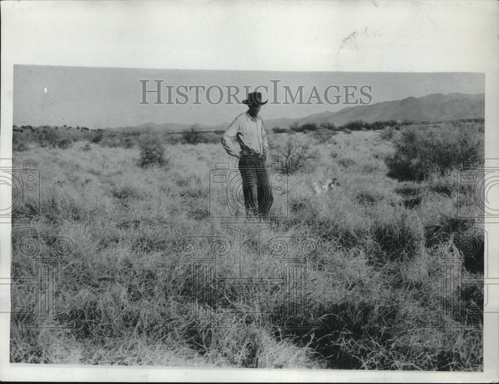 1934 Press Photo South Western laid where there enough grass to prevent erosion.