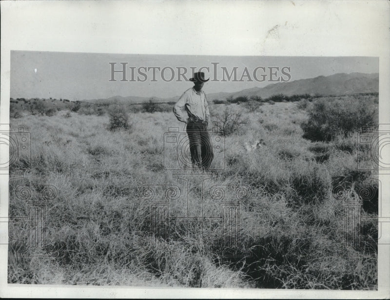 Load image into Gallery viewer, 1934 Press Photo South Western laid where there enough grass to prevent erosion.
