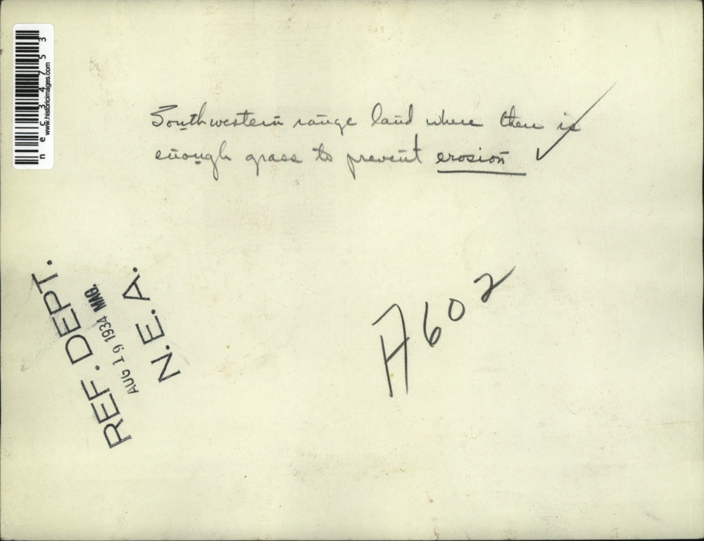 1934 Press Photo South Western laid where there enough grass to prevent erosion.