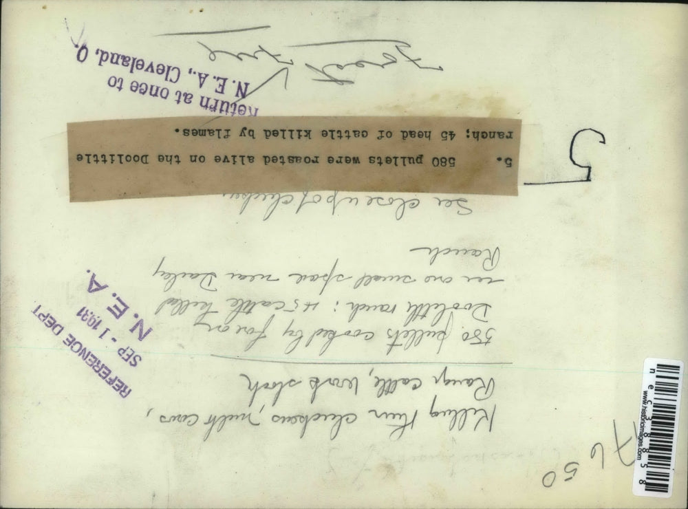 1931 Press Photo Chickens Killed in Deadly Forest Fire on Doolittle Ranch