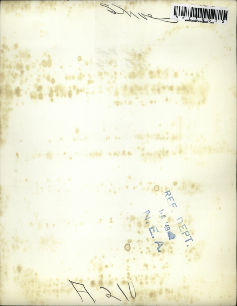 1949 Press Photo Shoes - nec39615