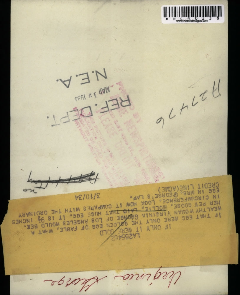 1934 Press Photo Virginia George's pet goose lays large egg - nec40238