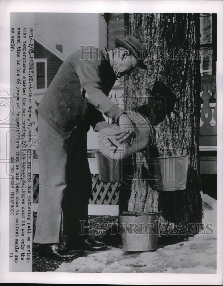1954 Press Photo Arthur Noyes pours maple sap he gather in his home in Norway Me