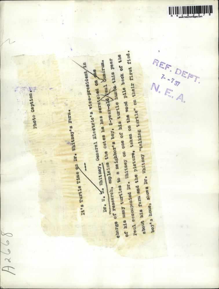 1937 Press Photo Dr WR Whitney of GE Research with PGundrum & a turtle