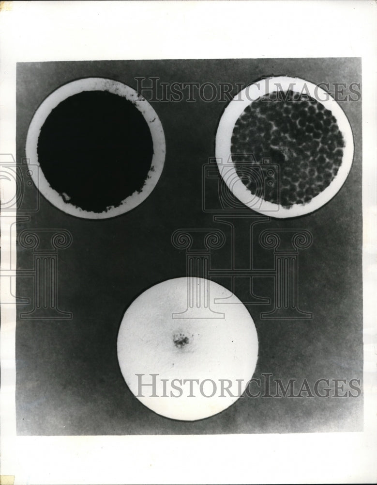 1970 Press Photo LA, Calif. filters demonstrate GSA emissions from vehicles