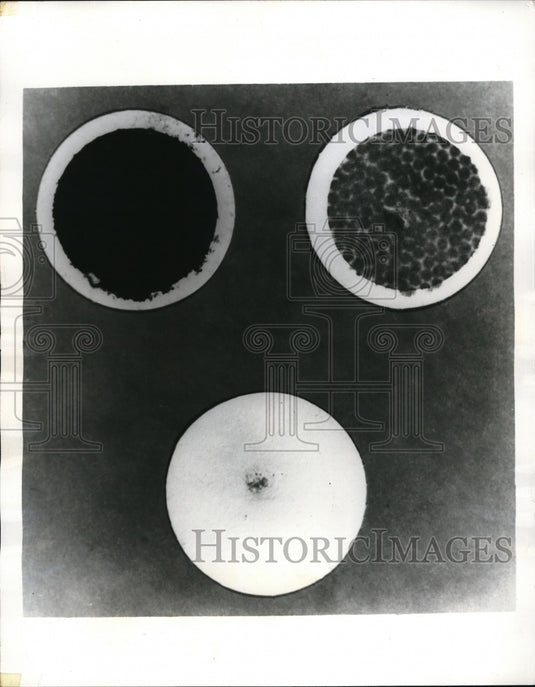 1970 Press Photo LA, Calif. filters demonstrate GSA emissions from vehicles