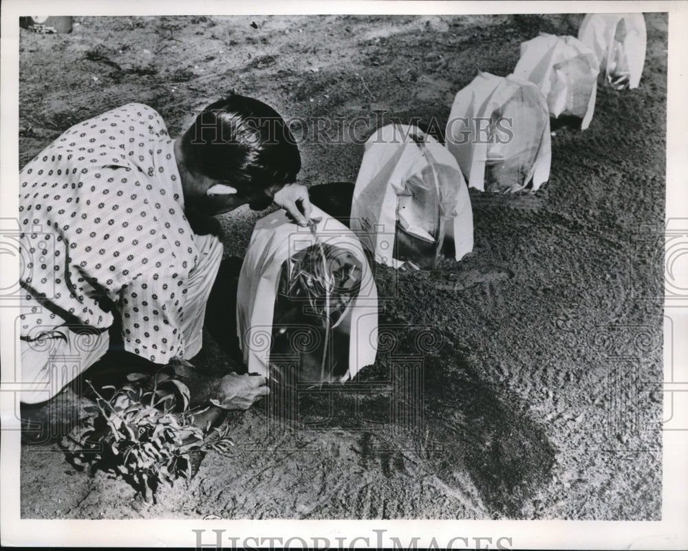 1957 Press Photo Plant Helmets