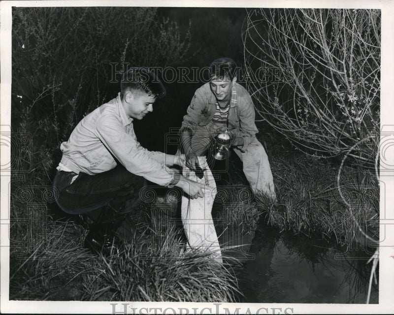 Load image into Gallery viewer, 1954 Press Photo"Flying Jackle" Norman Reese and Jack Kearus
