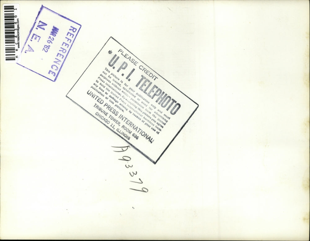 1962 Press Photo Marilyn Reid takes a head-on spill while riding a horse.