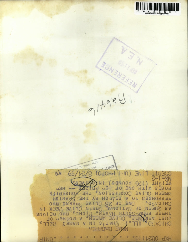 1959 Press Photo Chicago, Ill Mrs Olive Green & jars of olives Queen of Olive We