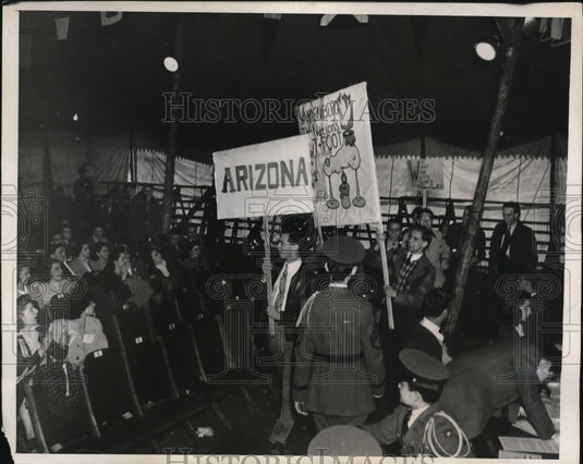 1940 Press Photo Northwestern Univ in Evanston, Ill mock political convention