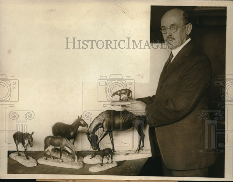 Load image into Gallery viewer, 1921 Press Photo JLE Gilsey Curator National Museum Washington D.C.
