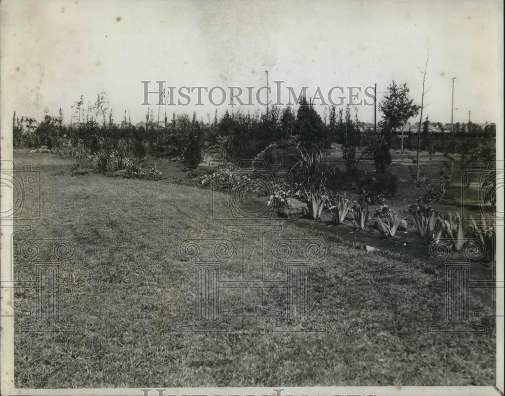 1930 Press Photo Part of Executive mansion flower bed - Historic Images