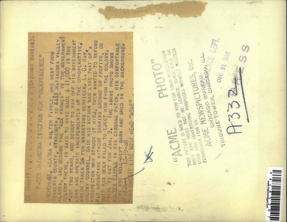 1938 Press Photo Walter Pipple picking cabbage