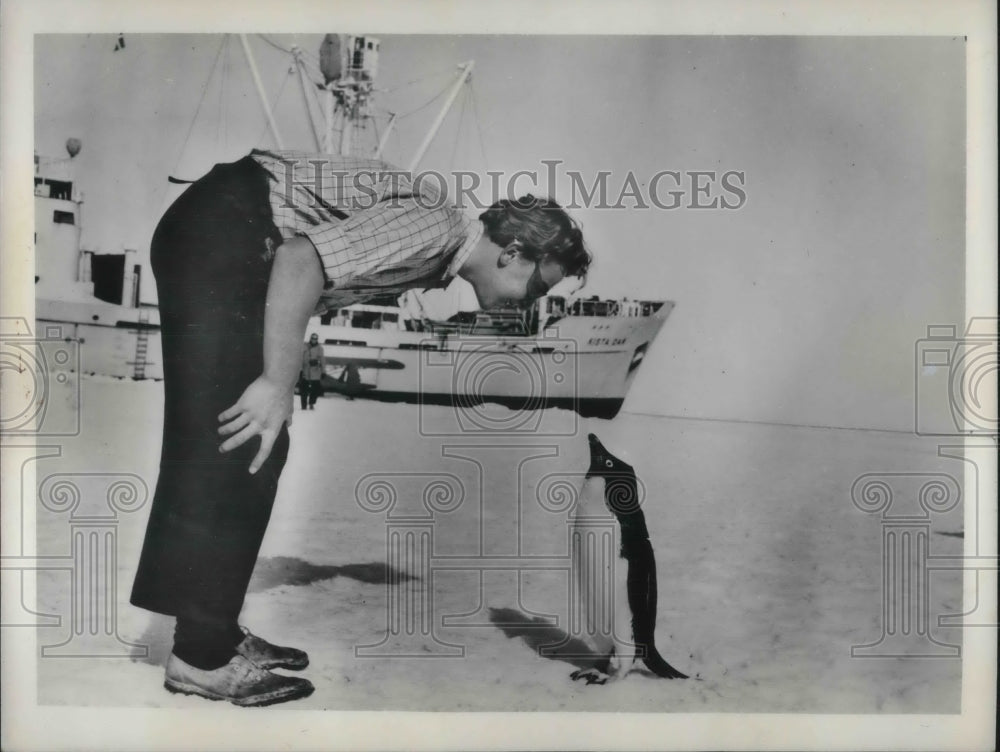 Press Photo Man looking at penguin - nec45211