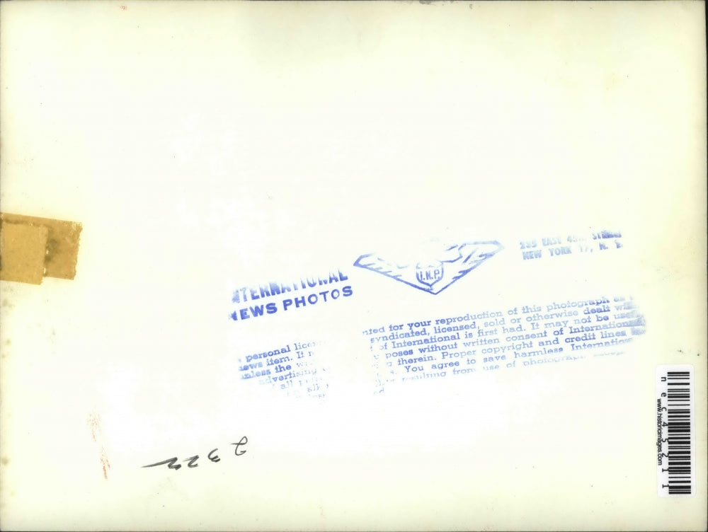 Press Photo Man looking at penguin - nec45211