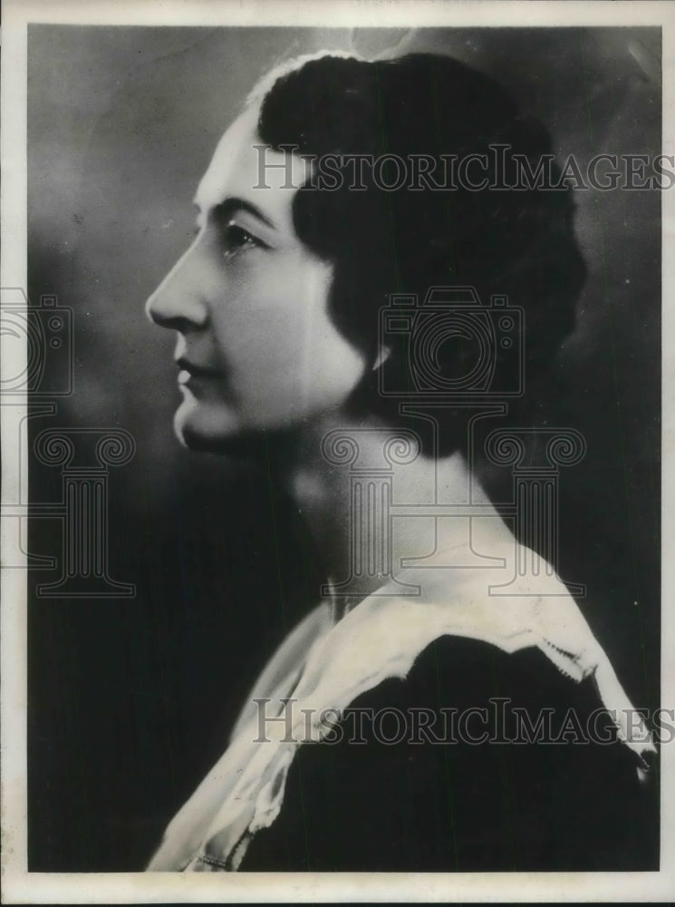 1931 Press Photo Arizona Legislature Community Representative Nellie Bush