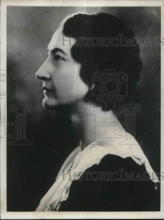 1931 Press Photo Arizona Legislature Community Representative Nellie Bush