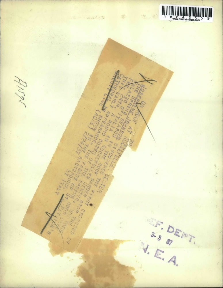 1937 Press Photo Josephine Johnson at St Patrick's Cathedra; in NYC