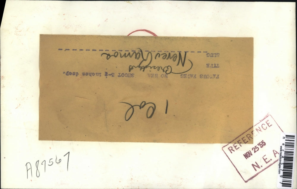 1955 Press Photo New President of Brazil Neveu Ramos After Takeover