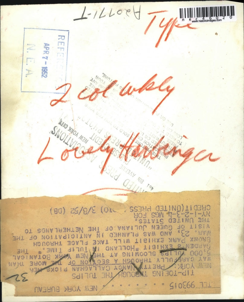 1962 Press Photo Tip toeing through the tulips