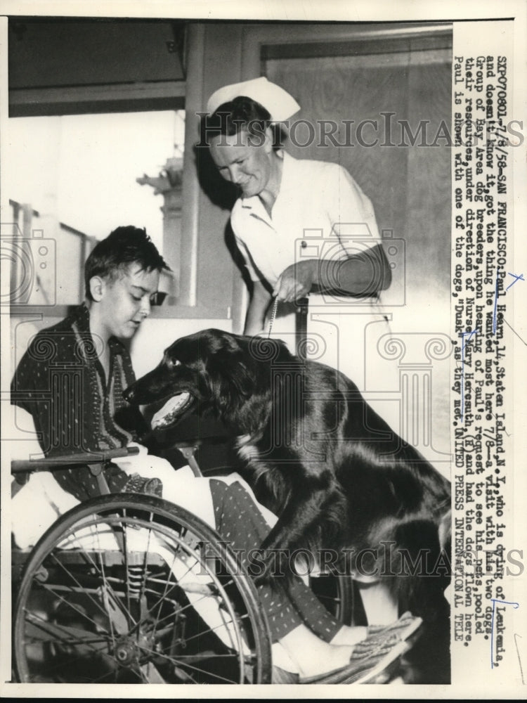 1958 Press Photo Paul Hearn Boy Dying Of Leukemia Visits With Dogs And Nurse