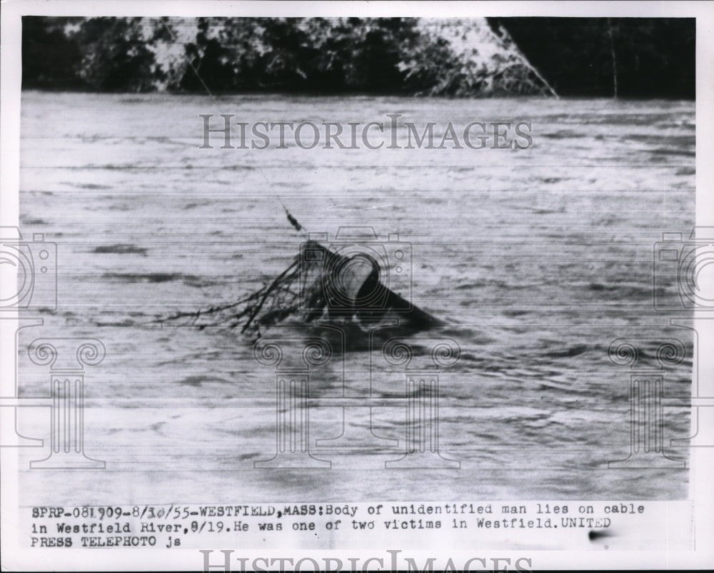 1955 Press Photo Westfield Mass. body in Westfield River