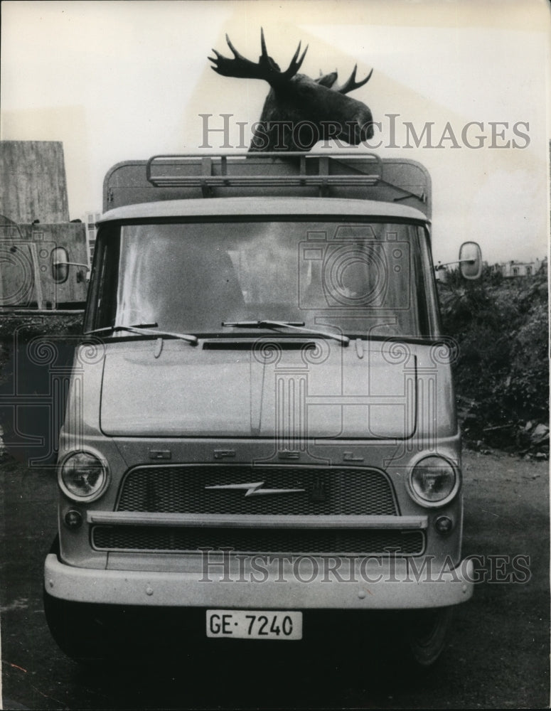 1965 Press Photo Geneva Switzerland Stuffed elk on its may to Museum of Natural- Historic Images