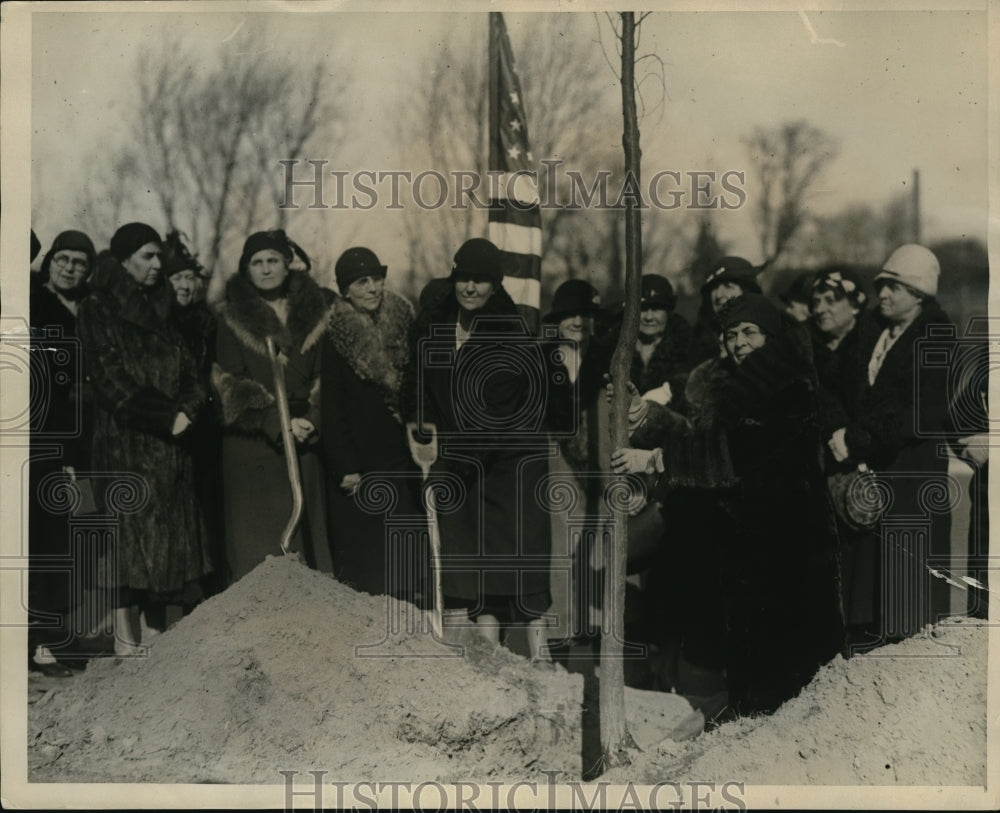 1932 Press Photo Mrs Harvey Wiley American Tree Association - nec48697